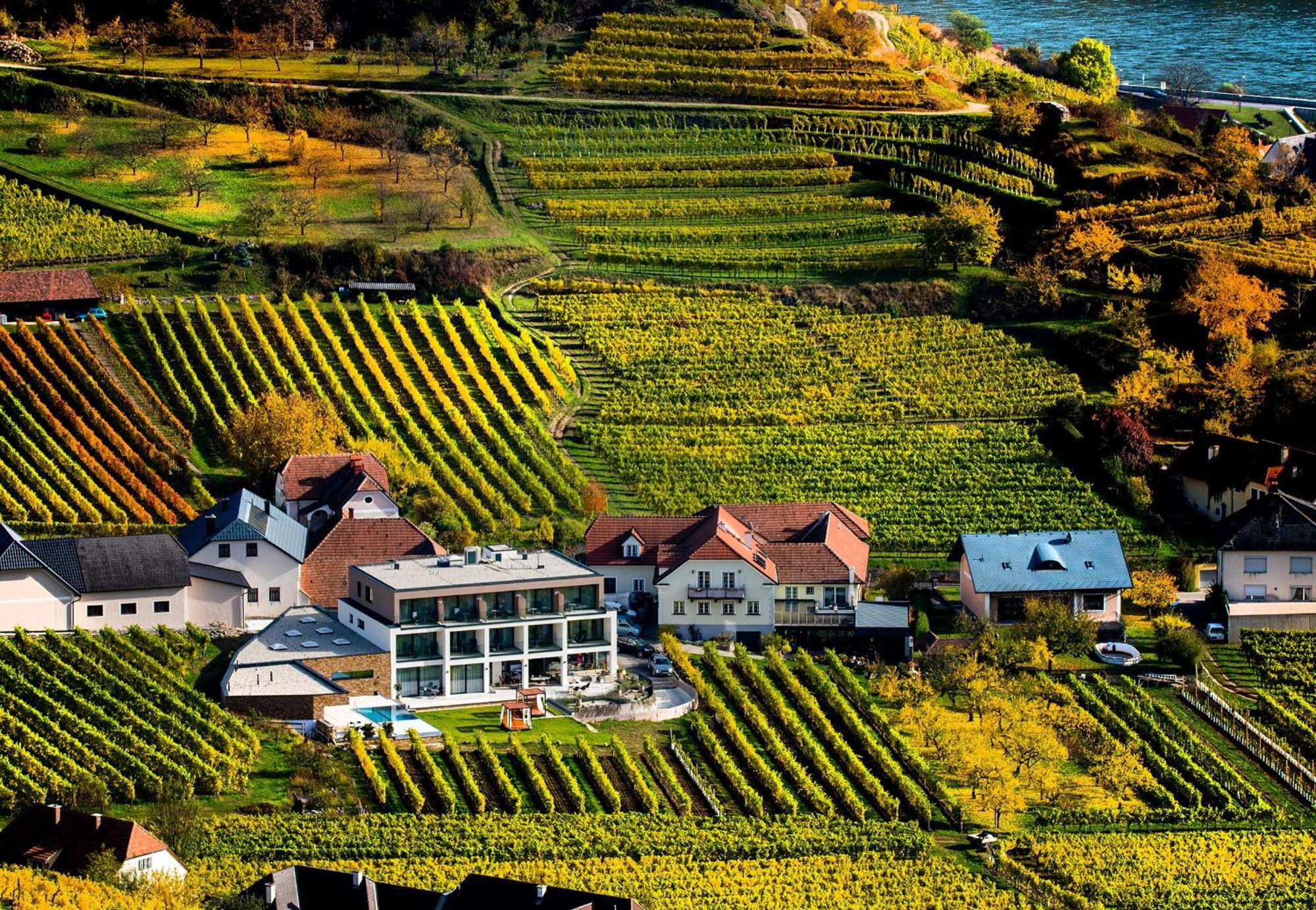 Weingut Donabaum "In Der Spitz" Appartement Spitz an der Donau Kamer foto