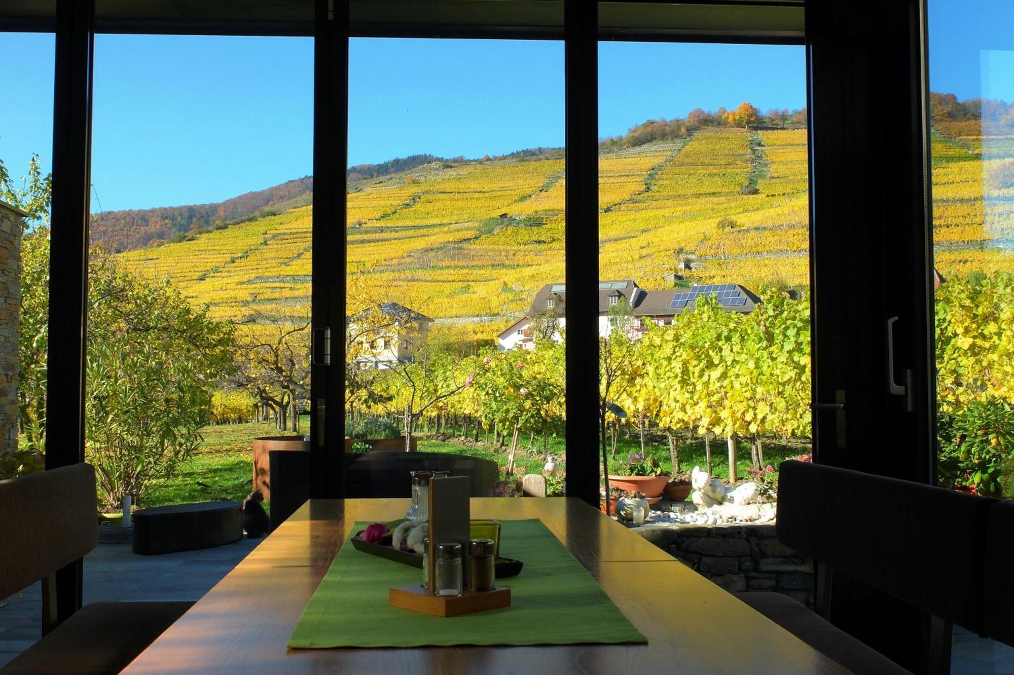 Weingut Donabaum "In Der Spitz" Appartement Spitz an der Donau Kamer foto