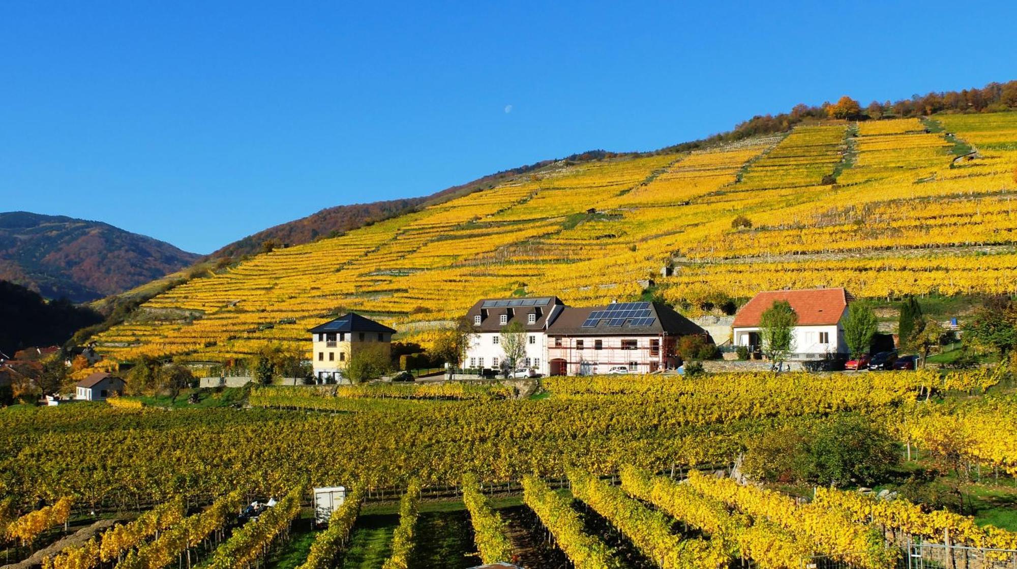 Weingut Donabaum "In Der Spitz" Appartement Spitz an der Donau Kamer foto
