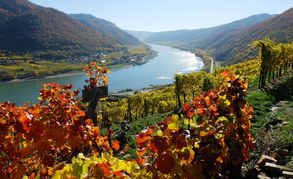 Weingut Donabaum "In Der Spitz" Appartement Spitz an der Donau Buitenkant foto