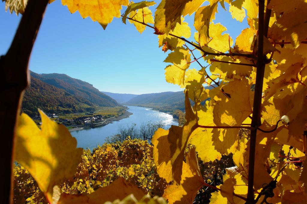 Weingut Donabaum "In Der Spitz" Appartement Spitz an der Donau Buitenkant foto
