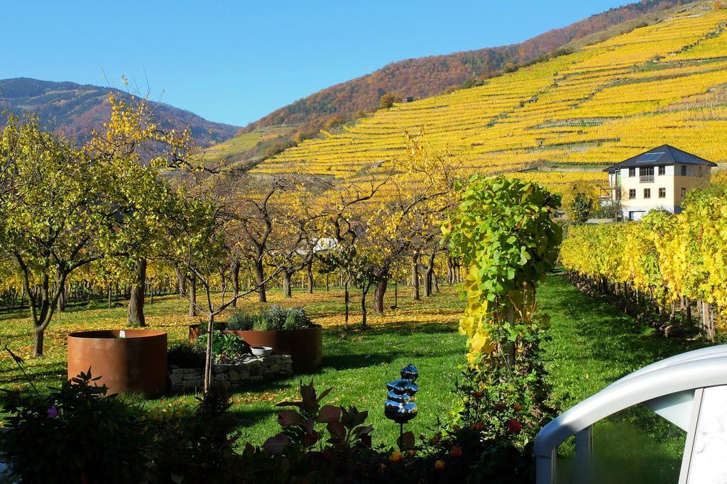 Weingut Donabaum "In Der Spitz" Appartement Spitz an der Donau Buitenkant foto