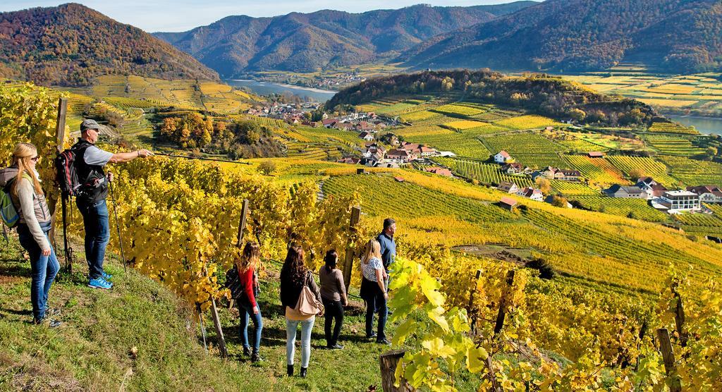 Weingut Donabaum "In Der Spitz" Appartement Spitz an der Donau Buitenkant foto